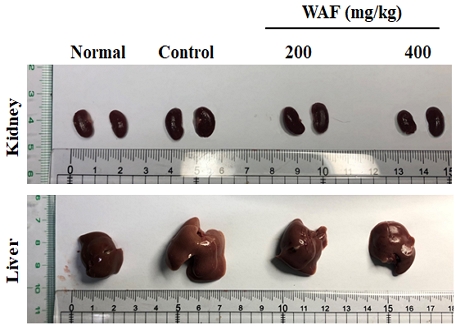 Fig. 13.