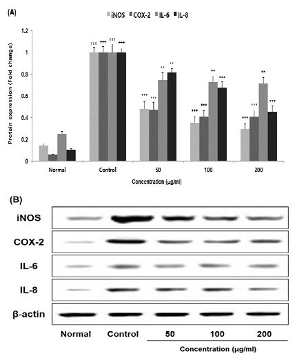 Fig. 4. Fig. 4.