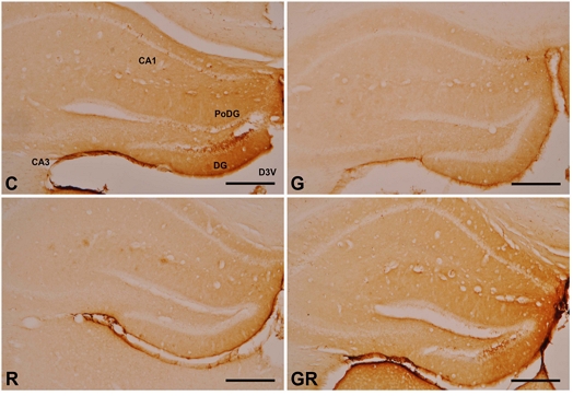 Fig. 8.