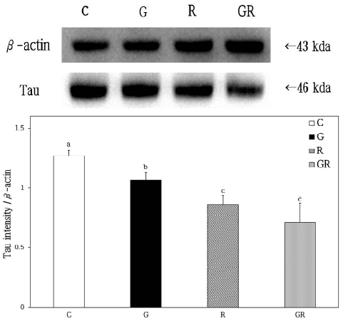 Fig. 10.